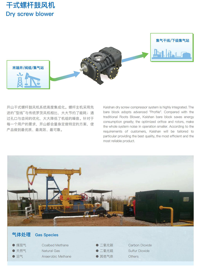 10-1定制产品：工艺气体压缩机样本_06_03.jpg